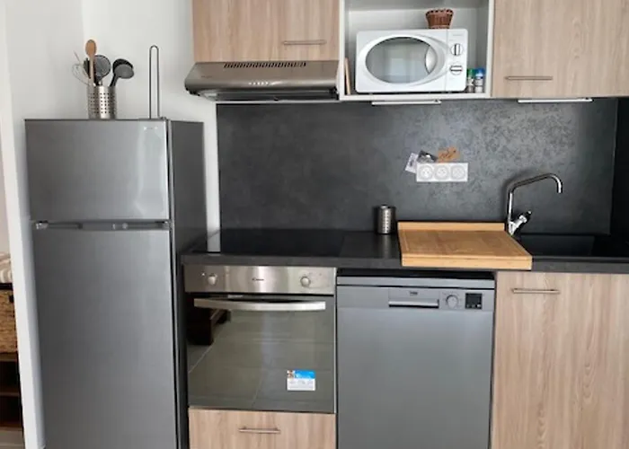 شقة Beau T2 Climatise Pour 4 Pers., Terrasse Et Parking A Port - Fr-1-727-29